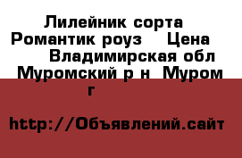 Лилейник сорта “Романтик роуз“ › Цена ­ 130 - Владимирская обл., Муромский р-н, Муром г.  »    